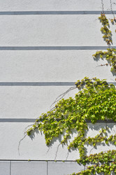 Similar image 1207655