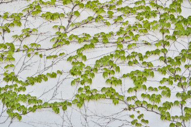 Similar image 1207658