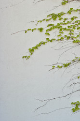 Similar image 1207659