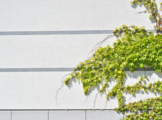 Similar image 1207661