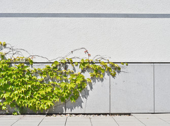 Similar image 1207667