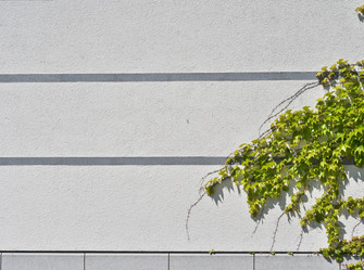 Similar image 1207669