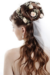 Similar image 1207798