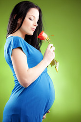 Similar image 1207825