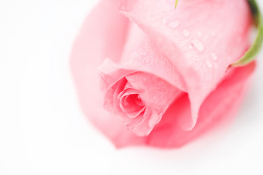 Similar image 1207882