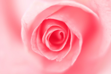 Similar image 1207884