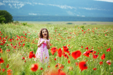 Similar image 1207938