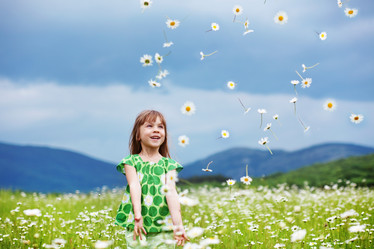 Similar image 1207944