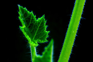 Similar image 1207970