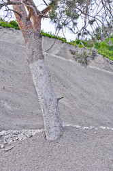 Similar image 1207983