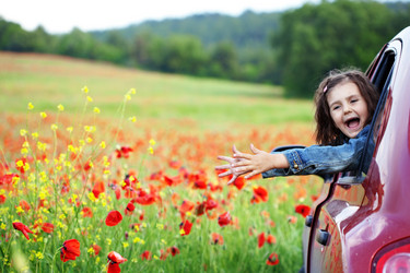 Similar image 1208029