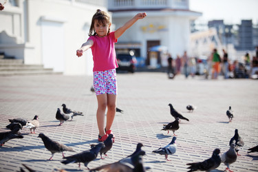 Similar image 1208047