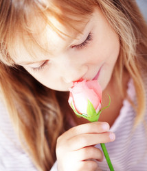 Similar image 1208088