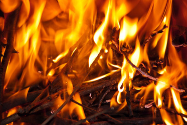 Similar image 1208097