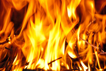 Similar image 1208098