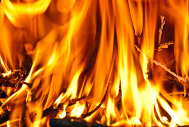 Similar image 1208099