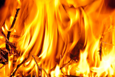 Similar image 1208100