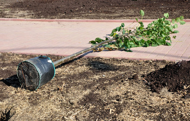 Similar image 1208132