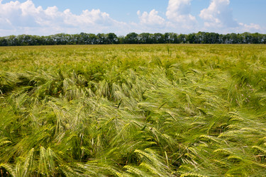 Similar image 1208146