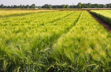 Similar image 1208147