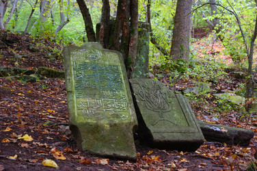 Similar image 1208199