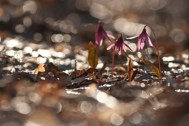 Similar image 1208297