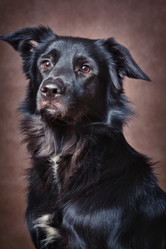 Similar image 1208314