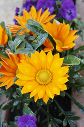 Similar image 1208347