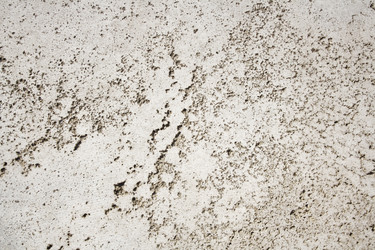 Similar image 1208348