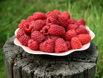 Similar image 1208368