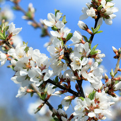 Similar image 1208369