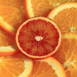 Similar image 1208370