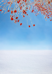 Similar image 1208400