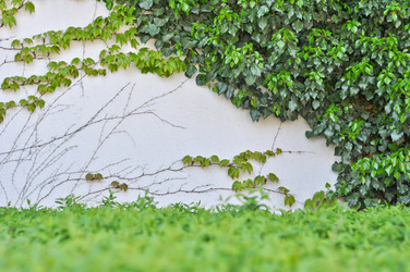 Similar image 1208415