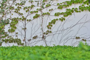 Similar image 1208444