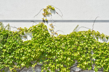 Similar image 1208445