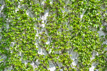 Similar image 1208446