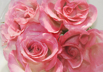 Similar image 1208452