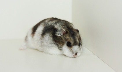 Similar image 1208453