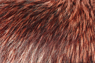 Similar image 1208454