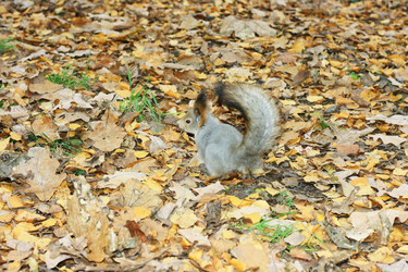 Similar image 1208460