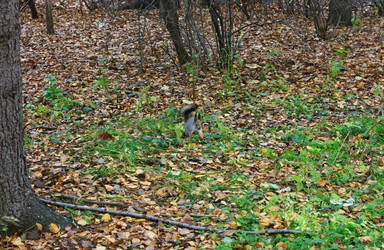 Similar image 1208461