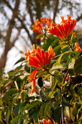 Similar image 1208462