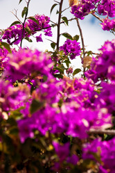 Similar image 1208467