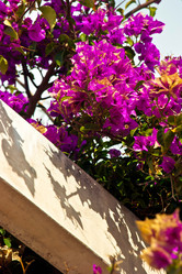 Similar image 1208469