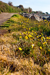 Similar image 1208480