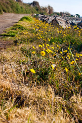 Similar image 1208481