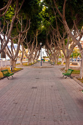 Similar image 1208484