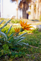 Similar image 1208486