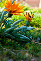 Similar image 1208487